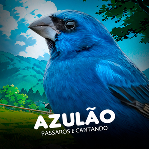 Azulão