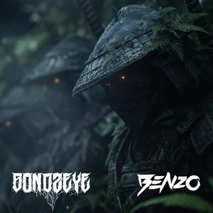 Warrior's of the shadow