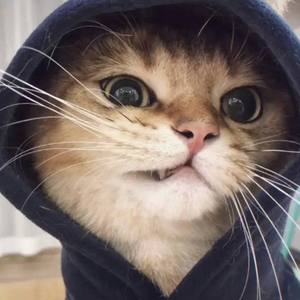 2022.04.18-02.55.31-上午_20220418_030141