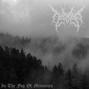 In The Fog Of Memories