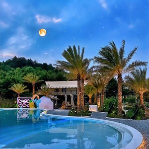 痴情的女人最可悲（翻自 琪琪）