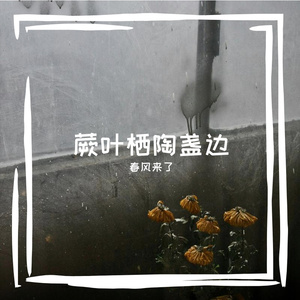 春风吹来了吗