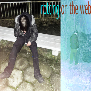 rotting on the web