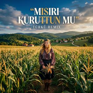 Mısırı Kuruttun mu