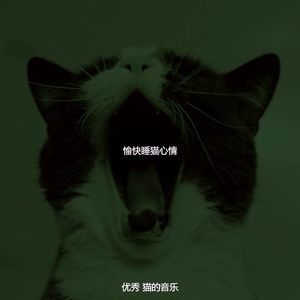 抚慰的放松的猫回忆