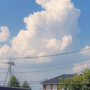 【FREE】'晴天白云' POP Guitar