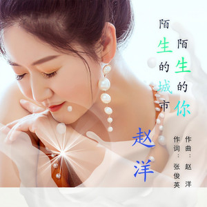 陌生的城市 陌生的你