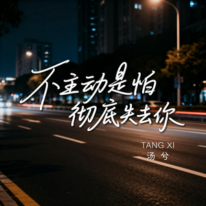 不主动是怕彻底失去你（抒情版）