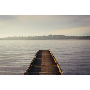 기억을 되돌리다