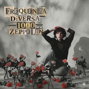 1000 Zeppelin