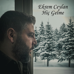 Hiç Gelme