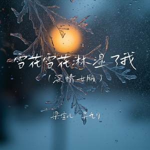 雪花雪花淋湿了我(深情女版)