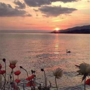 Baby巴拉巴拉 (DJ版)