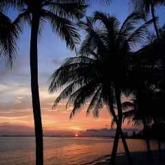 O Come O Come Emmanuel (压迫感)