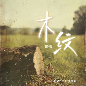 木纹（cover：张继聪）