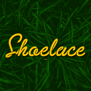 Shoelace