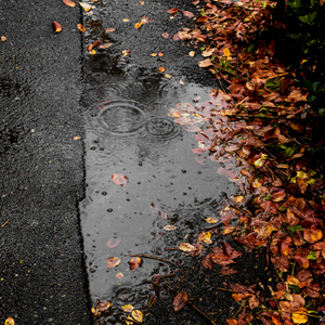 Rain Sounds With Music