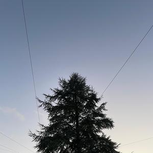 hope for a better tomorrow