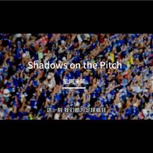 Shadows on the Pitch