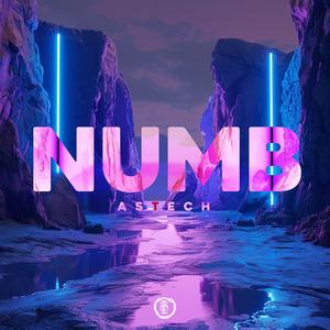 Numb (Techno Version)