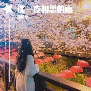 这一夜相思的雨