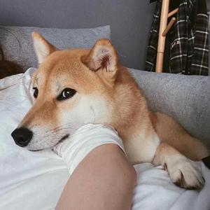 你是对的人