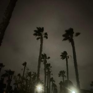 xO Girl (feat. Nino Escobar)