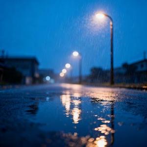雨に滲む街の灯