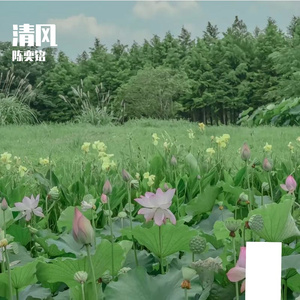 北方-整曲
