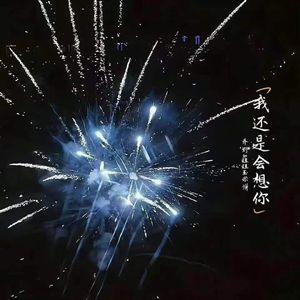 我还是会想你