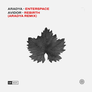 Rebirth (Aradya Remix)