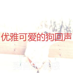 有趣可爱的狗情怀