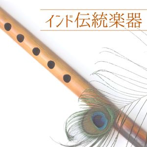 インド伝統楽器