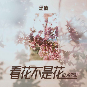 看花不是花 (DJR7版)