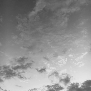 ね。リグレット