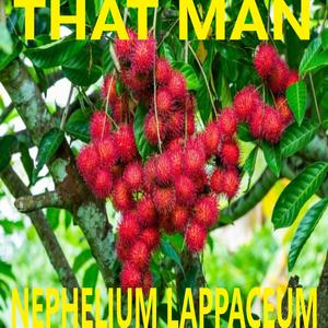 Nephelium Lappaceum