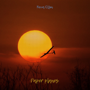 Paper Planes