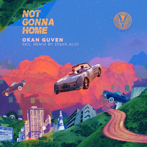 Not Gonna Home (Zigan Aldi Remix)
