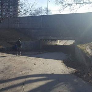 100 vägar natural (feat. D-gone)