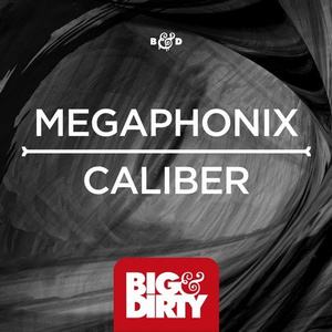 Caliber (Original Mix)