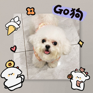 雪芙的心事(忧伤版)