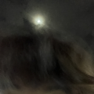 我们之间隔着一场下不完的雪