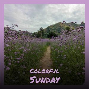 Colorful Sunday