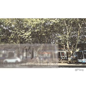 不完美的完美乐章