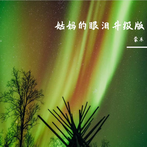 姑妈的眼泪升级版