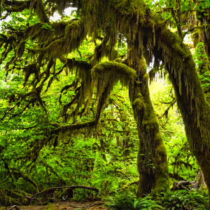 The moon remained silent