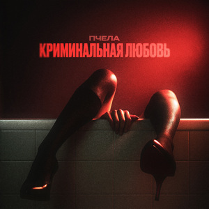 Криминальная любовь