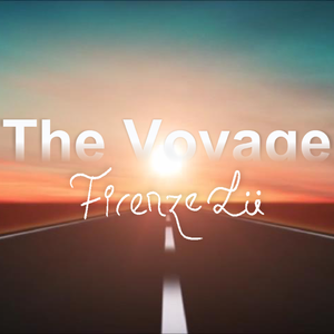The Voyage