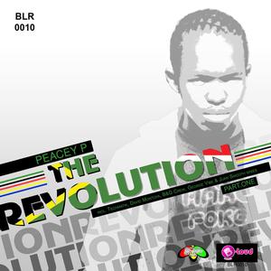 The Revolution (David Montoya Pachanga Remix)