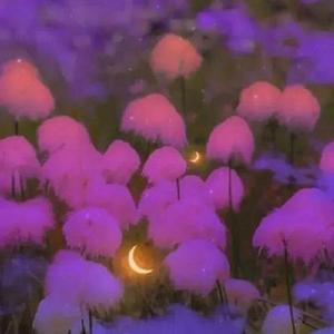 浪漫痴情汉（prod YoungKyle）